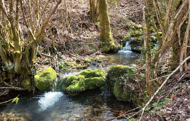 Torrente Apa presso Corvaro
