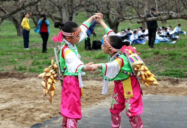 Photo by zhengkui li on Pexels.com