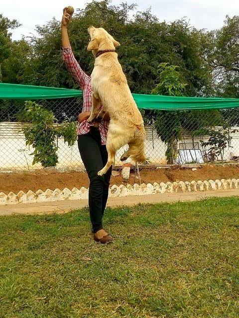 Captionless Image