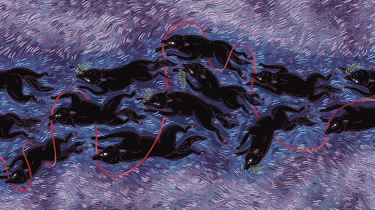Pack of coyotes artwork by Halie Finney