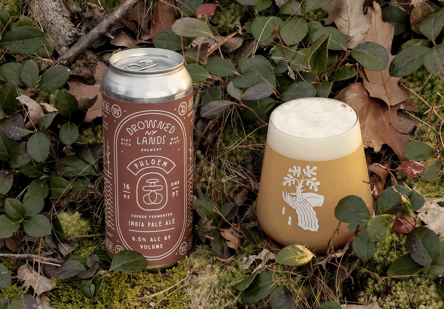 Drowned Lands Brewery Phloem