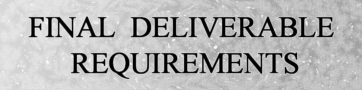 Final Deliverable Requirements