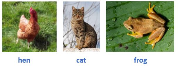 Captionless Image