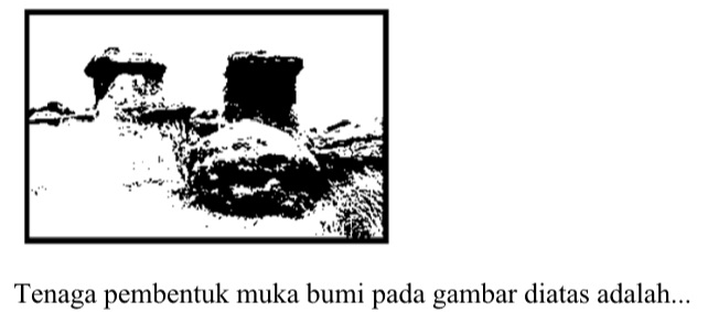 Captionless Image