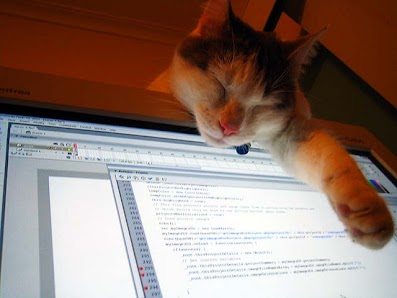 Photo of cat draped over computer screen displaying code