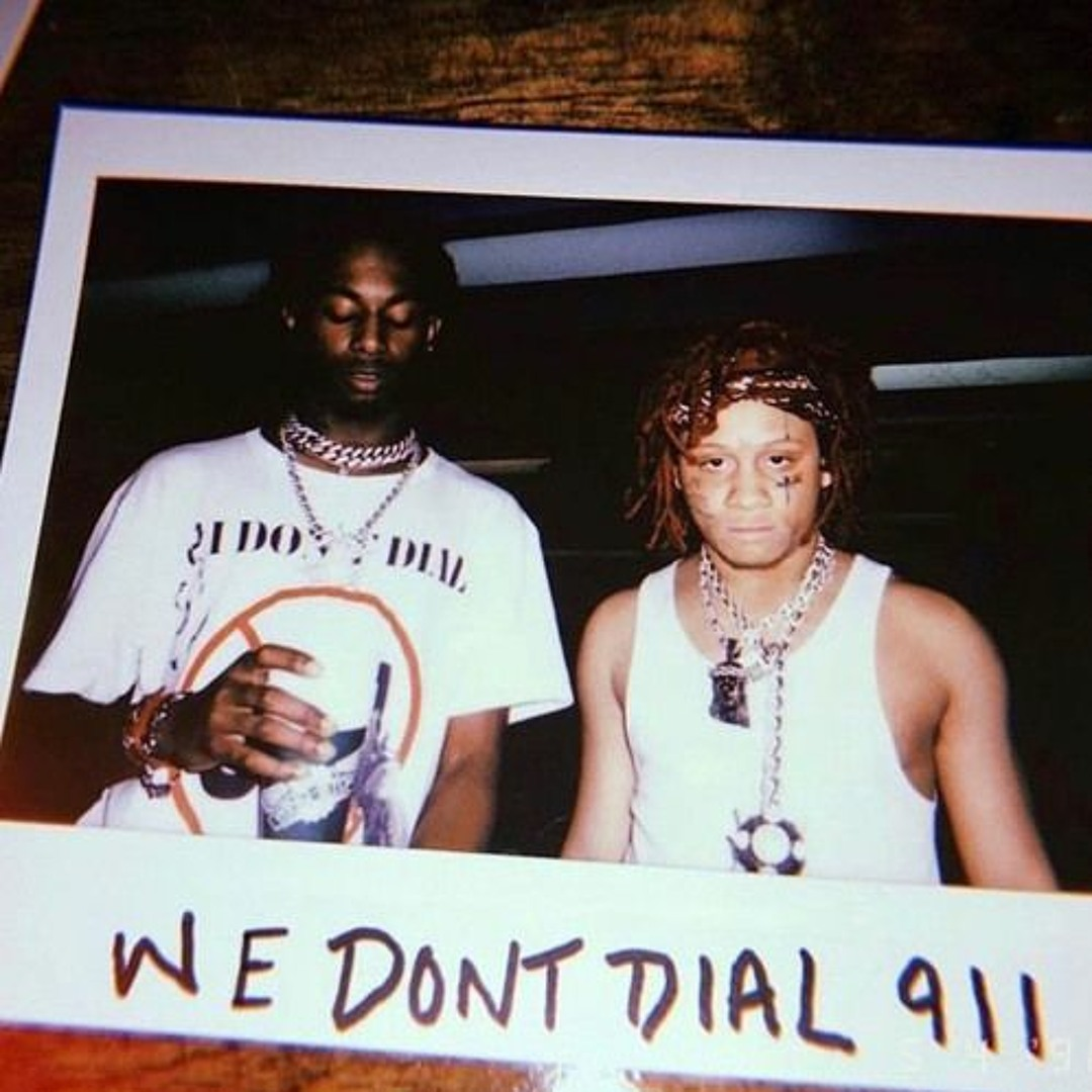 WE DONT DIAL 911 cover