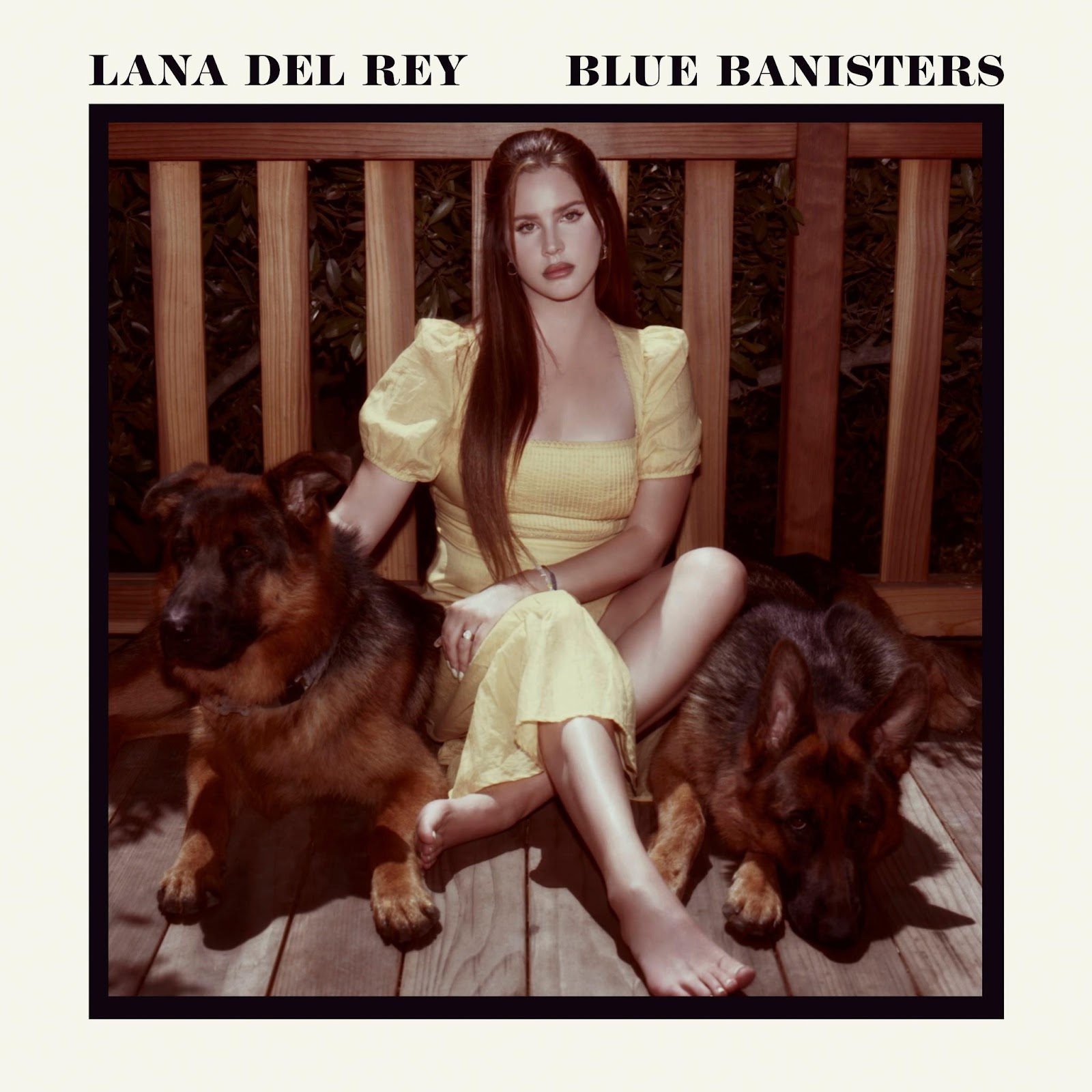 Blue Banisters cover