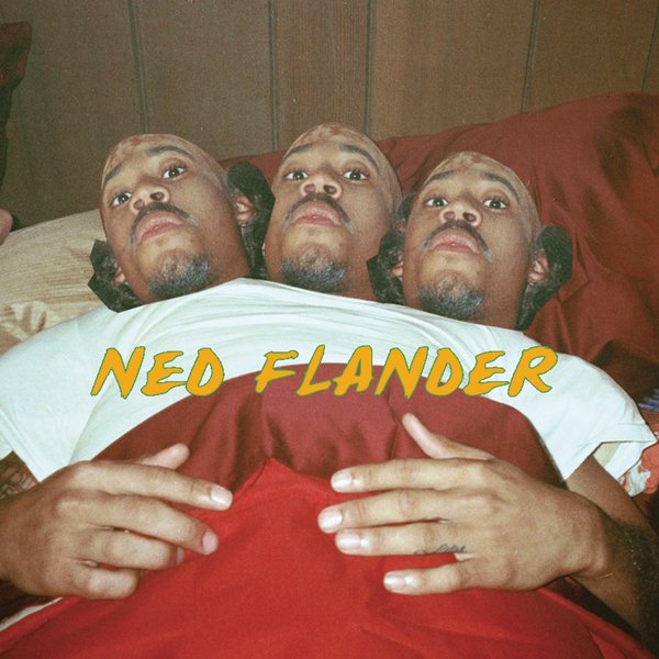 NY (Ned Flanders) [Single Cover]