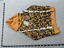 Bape Zip up