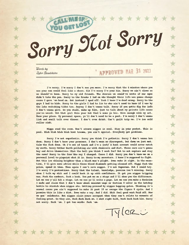 SORRY NOT SORRY [Lyrics Sheet]