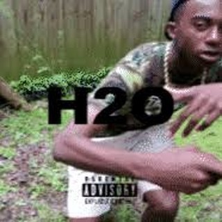 H2O