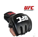 UFC Gloves