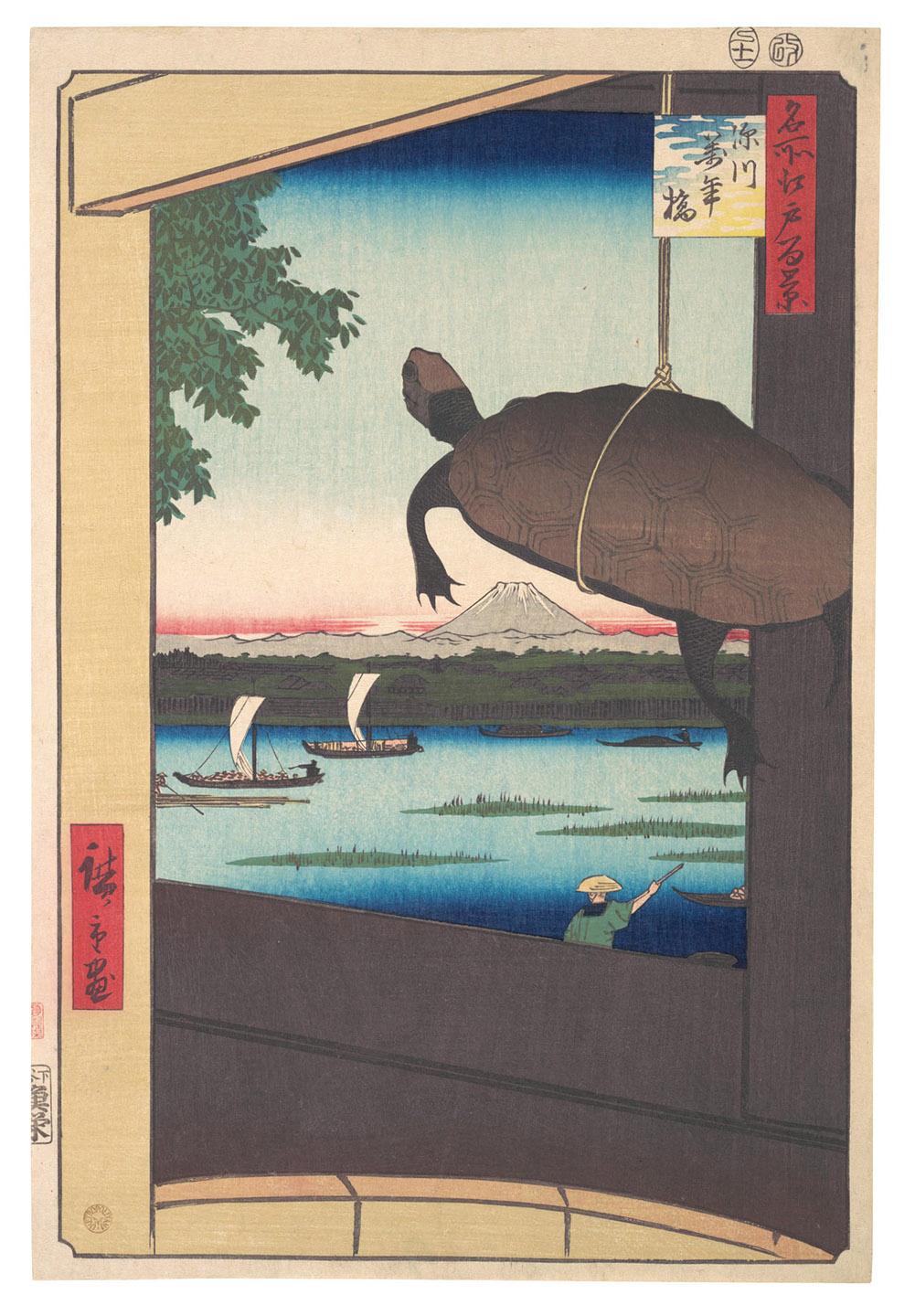 A painting of a turtle from a window

Description automatically generated