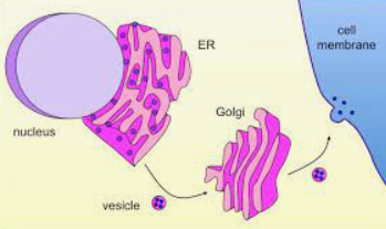 Diagram<br /><br />Description automatically generated