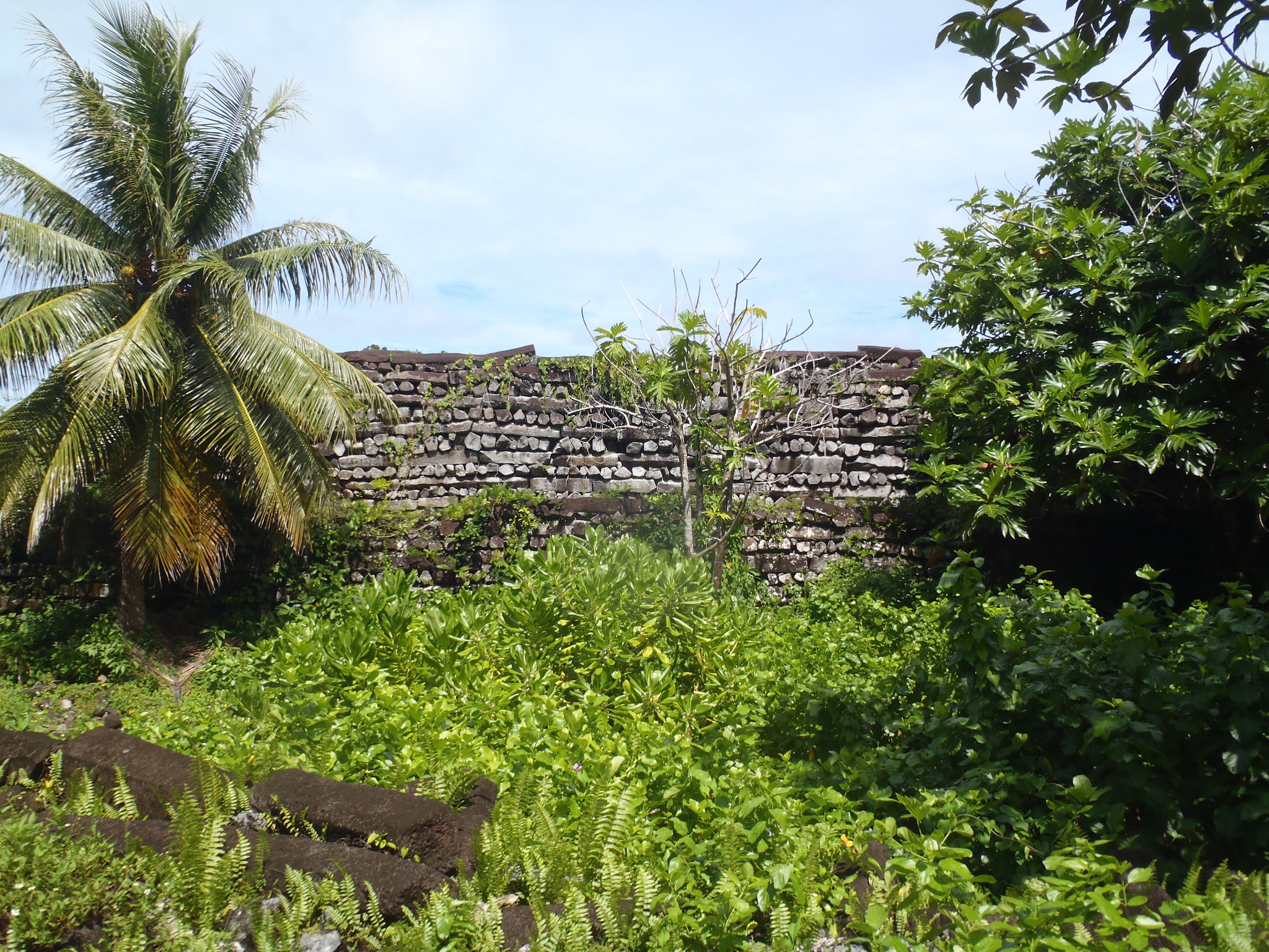 Architecture. Tall walls made of stacked, uncut stones rise amongst the bright green vegetation and foliage.
This image can be divided into three sections: the background contains the rough, yet elegant stone wall, the middle ground is a flat, green section with vegetation that steps down into the foreground. The foreground contains both rough and carved rock, as well as greenery growing throughout and around it.

