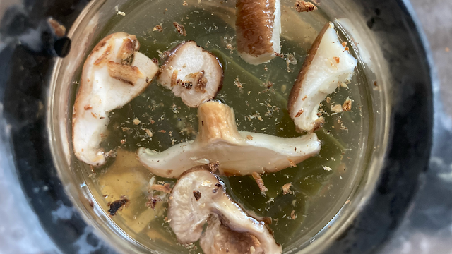 自家製 冷やし出汁（昆布、かつお、椎茸）