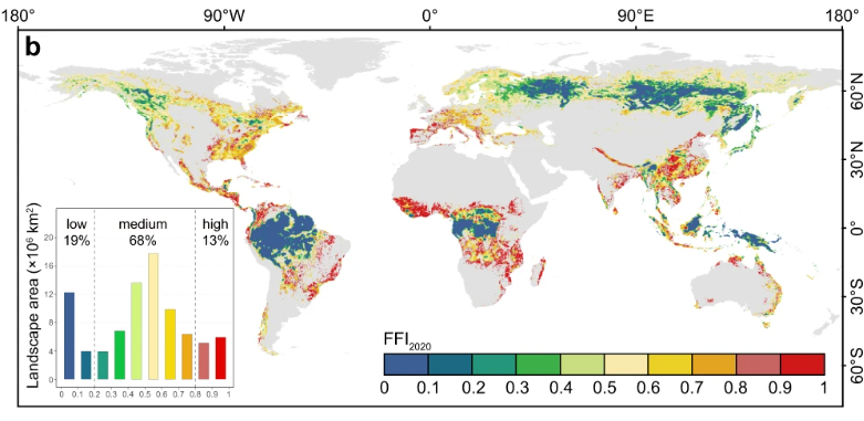 Forest Fragmentation<br />