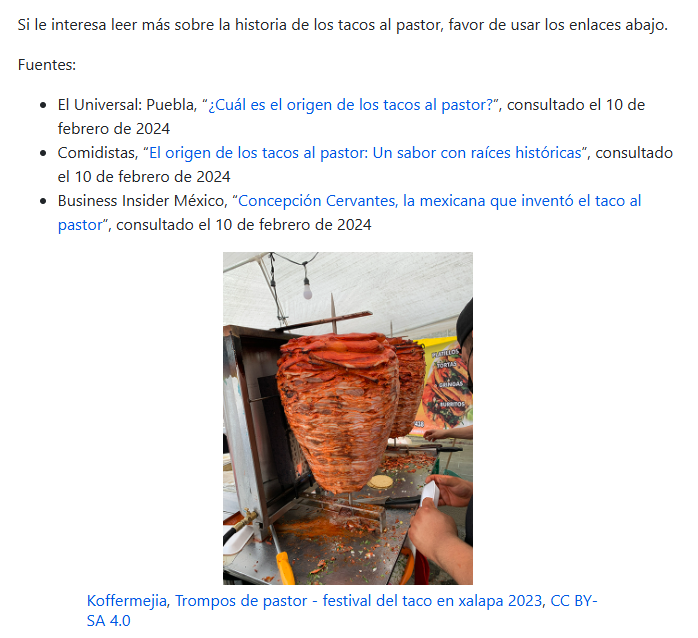 In Spanish, a bibliography of resources with links, and an image of a cone of meat on a spit.