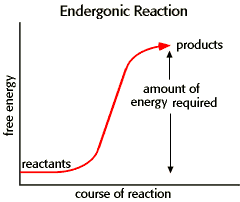 endergonic reactions use energy; meaning the reactants have a lower amount of energy than the products; meaning there is a positive ∆G