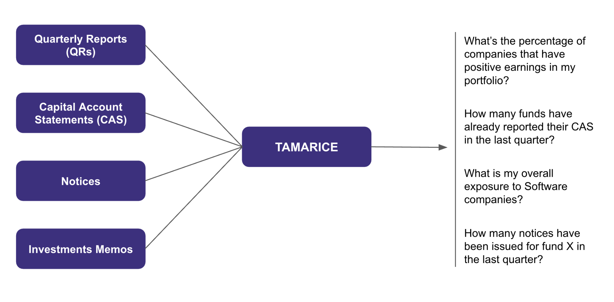 Flowchart showing how Tamarice extracts data from reports to generate portfolio insights.