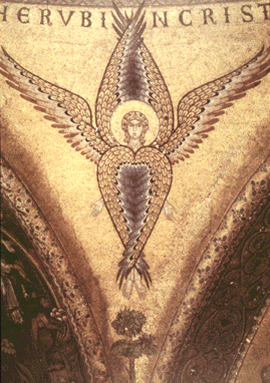 The cherubim are amazing creatures!