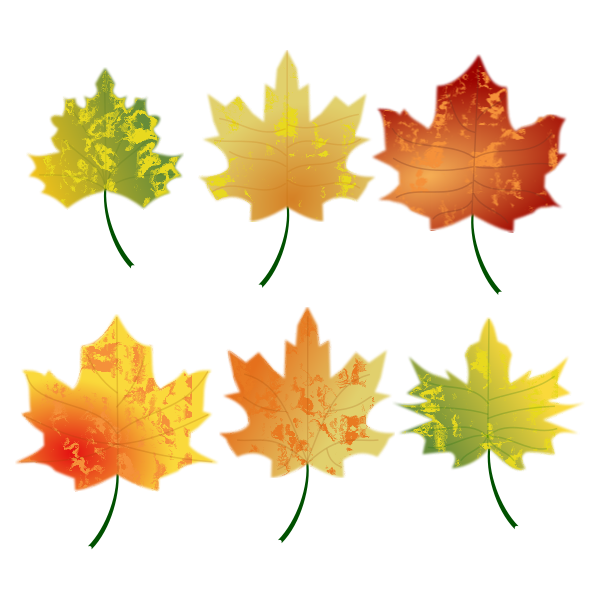 Autumn Leaves | Free SVG