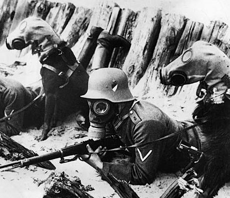 germansoldierdog.jpg