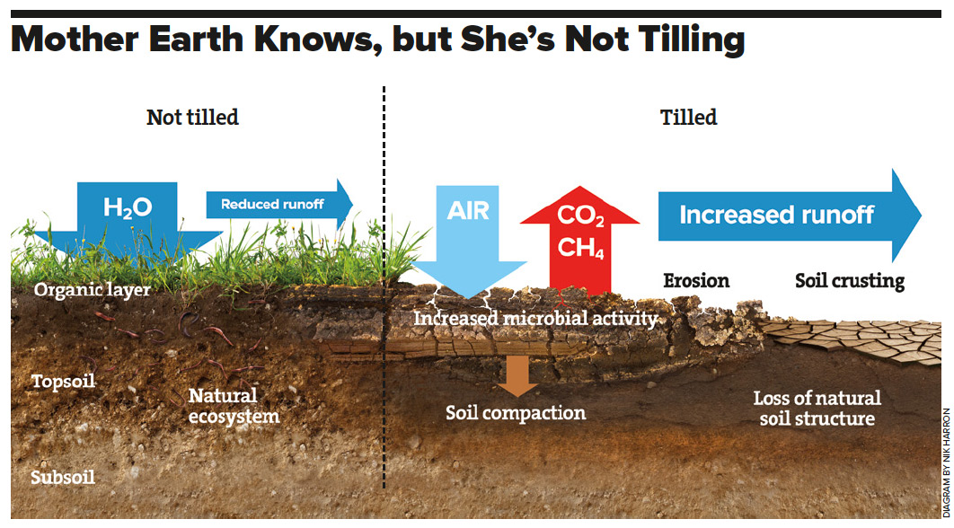 Effect of no till