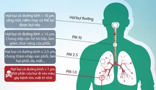 tác hại của bụi mịn trong không khí 