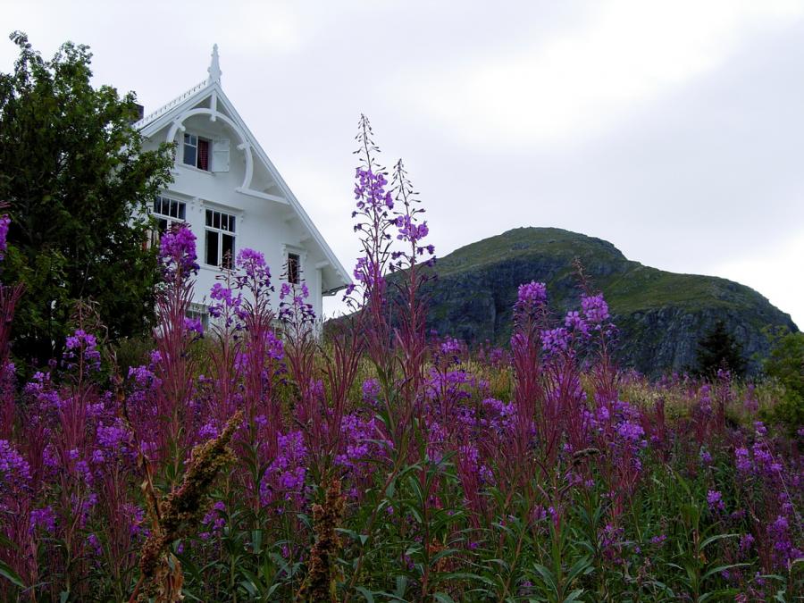 image072.jpg