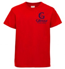 https://www.stitchdesign.co.uk/uploaded_files/profile_images/13419/thumbs/t-shirt%20gilmour.jpg