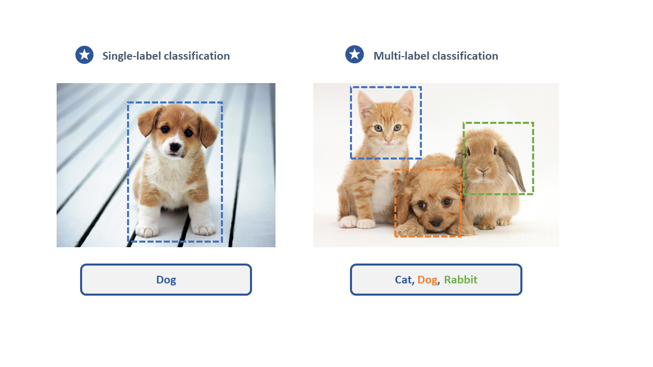 Image Classification: 6 Applications & 4 Best Practices in 2023