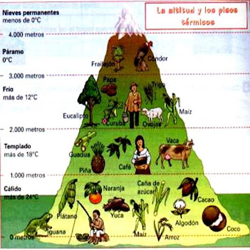 8 ideas de Maquetas | maquetas, maquetas de ecosistemas, actividades de  geografía