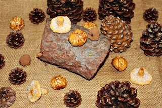 PANELLETS DE BONIATO