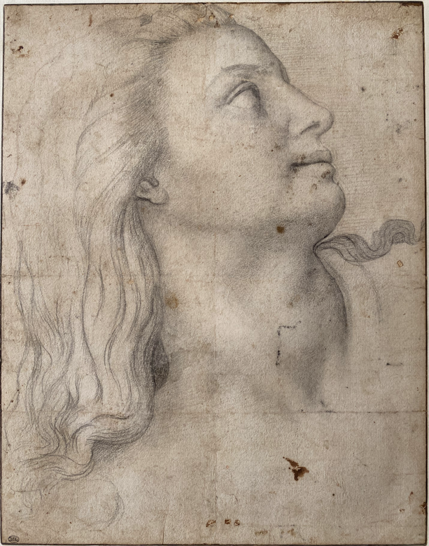 Immagine che contiene Viso umano, schizzo, ritratto, disegno

Il contenuto generato dall'IA potrebbe non essere corretto.