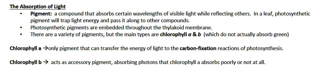 A close-up of text

Description automatically generated