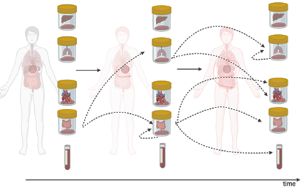 A diagram of a human bodyDescription automatically generated